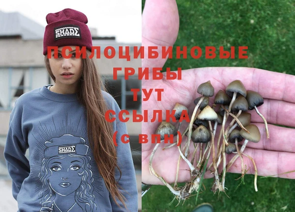 первитин Балахна